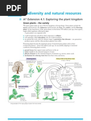 Extension 4.1 - 4.4