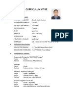 Curriculum Vitae Ricardo