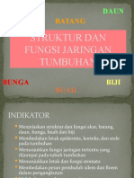 STRUKTUR DAN FUNGSI JARINGAN TUMBUHAN