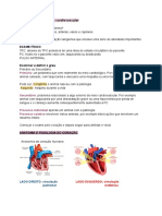 Sistema Cardiovascular Vet