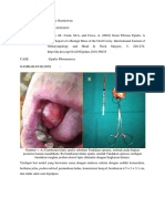 Paper Praktikum Dokter Erna Rizky 161610101103