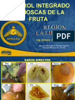 Control Moscas de La Fruta