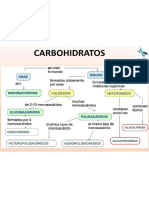 Diapositiva3