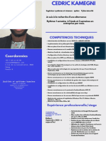 CV Kamegni Securite Informatique Compress