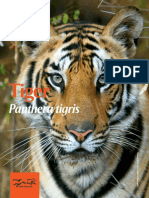 Updated Tiger Fact Sheet_0
