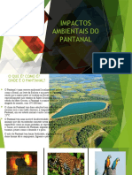 Impactos Ambientais Do Pantanal