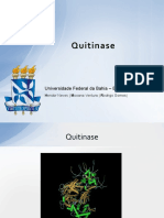 Quitinase Master