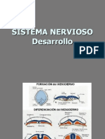 Desarrollo Del Sistema Nervioso