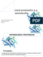 Metabolismul Proteinelor Și A Amoniacului