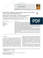 Desinfección de Heridas Infectadas Con Pseudomonas Aeruginosa en Ratones DB - DB Diabéticos Mediante Ácido Hipocloroso Débilmente Ácido