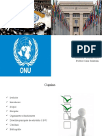 Organizaţia Naţiunilor Unite. Principii şi organizare (1)