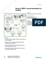 Structural Snapshots of TRPV1 Reveal Mechanism of Polymodal Functionality