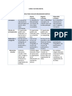 Rubrica Organizador Gráfico Cultura Digital