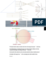 Thème3 Chapitre3 Laperceptiondelalumière1 en