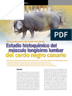 28-33.artículo Científico Cerdo Negro Canario