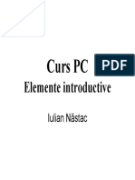 Curs PC Elemente Introductive. Iulian Năstac