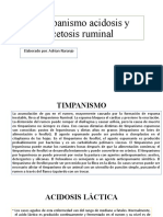Timpanismo acidosis y cetosis ruminal
