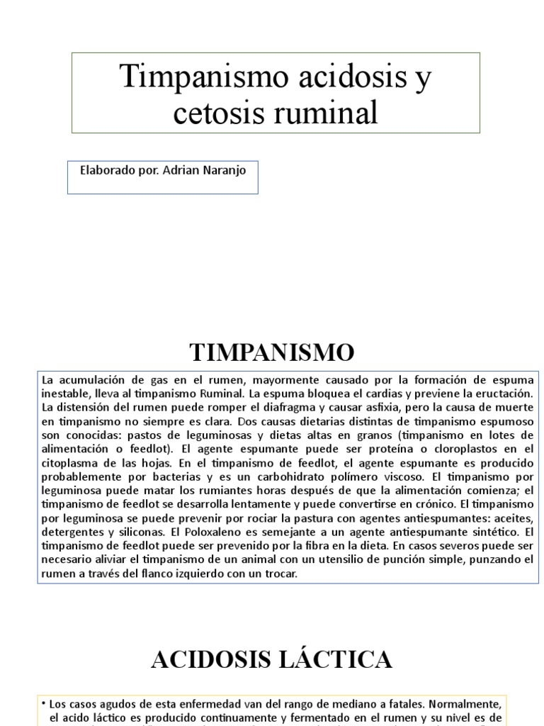 Timpanismo Acidosis y Cetosis Ruminal PDF Cetosis Ácido láctico