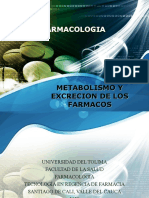 Exp. Metabolismo