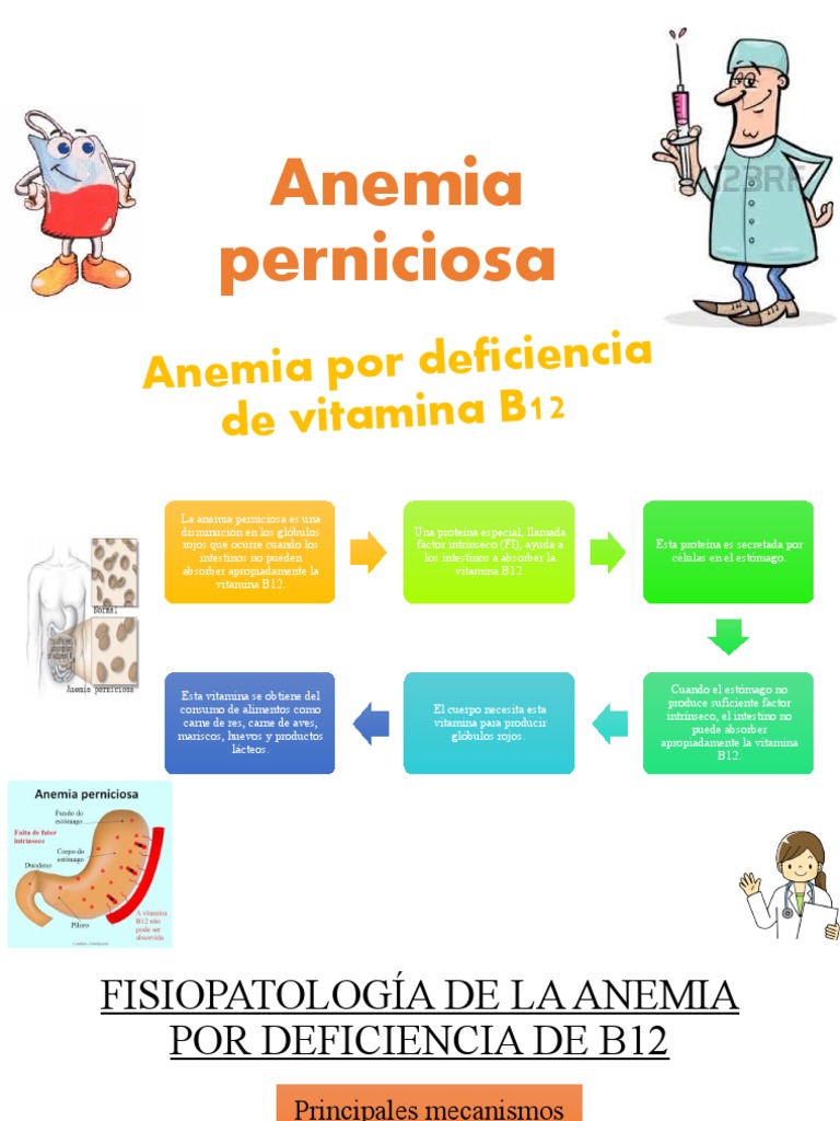 Anemia Perniciosa PDF Vitamina B12 Anemia