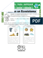 Ficha de Que Es Un Ecosistema Para Tercero de Primaria