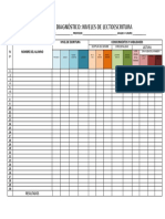 Registro Diagnóstico, Niveles de Lectoescritura