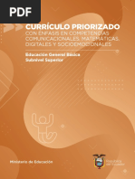 Curriculo Priorizado Con Enfasis en CC CM CD CS Superior