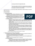 Instrucciones para Informe de Trabajo Practico