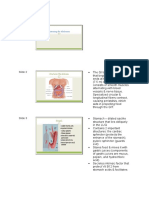 Slide 1: Assessing The Abdomen