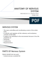 General Anatomy of Nervous System.