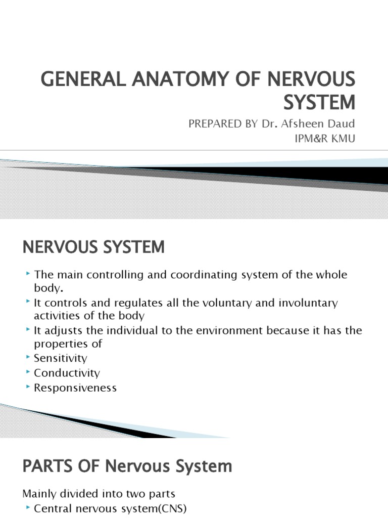 Anatomy visual data 4