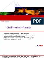 Ossification of Bone.