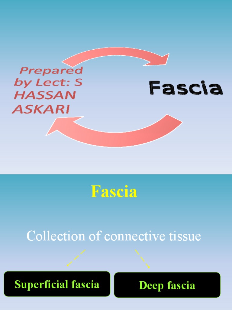 Musculoskeletal System Biology Diagrams