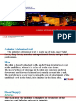 Anterior Abdominal Wall and Peritoneum.