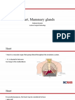 Heart, Mammary Glands.