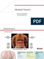 Abdominal Viscera's