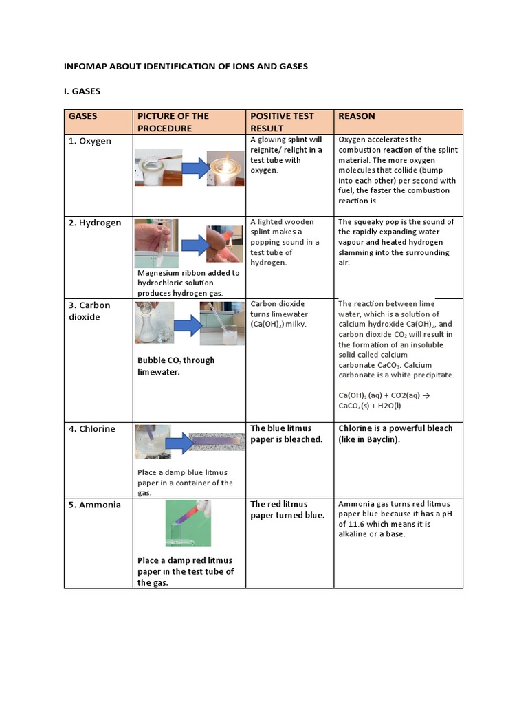 Identification Of Ions And Gases Pdf Sulfate Precipitation