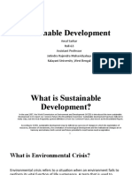 What Is Sustainable Development Final Stage