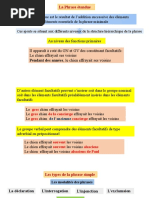 phrase étendue (1)