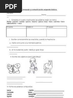 Uso R Rr Y Morfologia Linguistica Tipologia Linguistica
