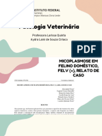 Micoplasmose em Felinos/ Hiperplasisa Fibroepitelial Mamária Felina