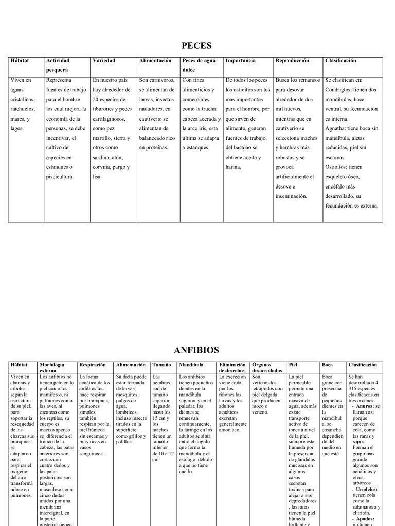 Anfibios, Reptiles Mamiferos,Aves Cuadros