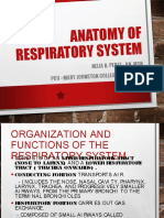 Anatomy of Respiratory System: Nelia B. Perez RN, MSN Pcu - Mary Johnston Colleg E of Nursing