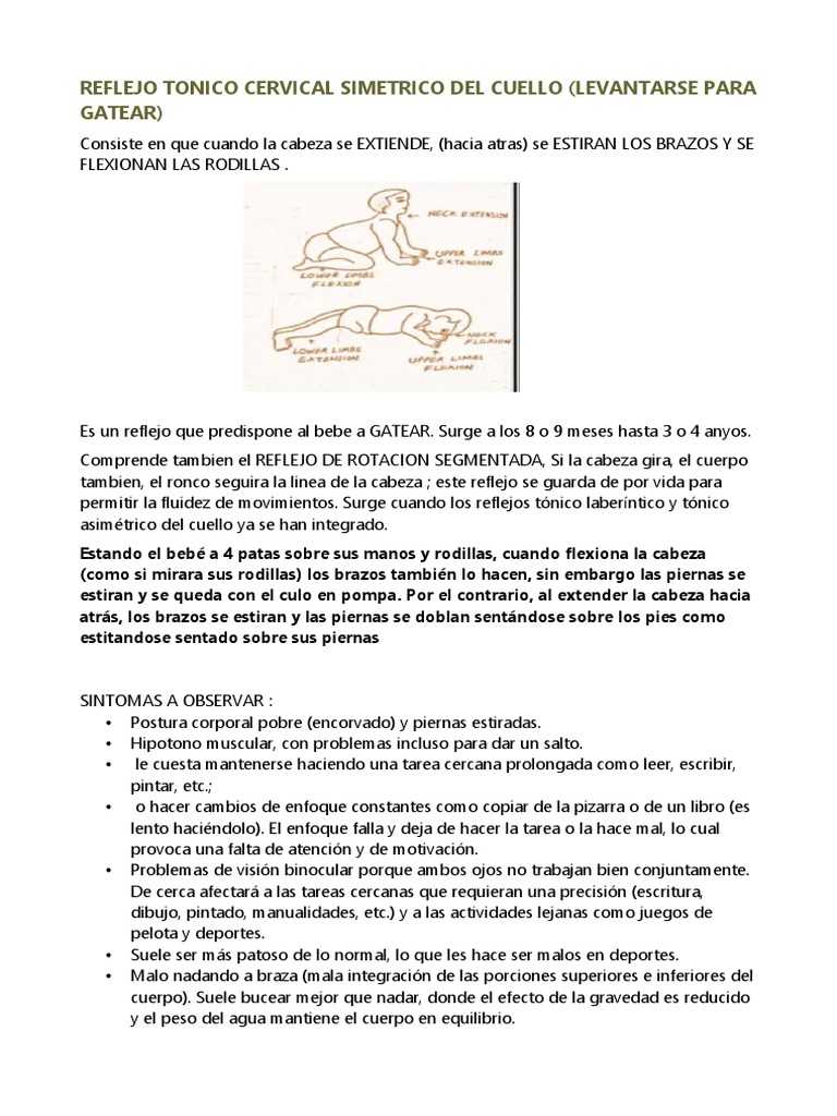 reflejo-tonico-cervical-simetrico-del-cuello-levantarse-para-gatear