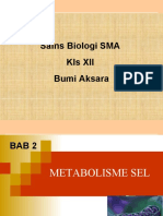 Bab 2 Metabolisme