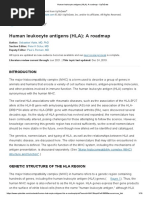 Human Leukocyte Antigens (HLA) - A Roadmap - UpToDate