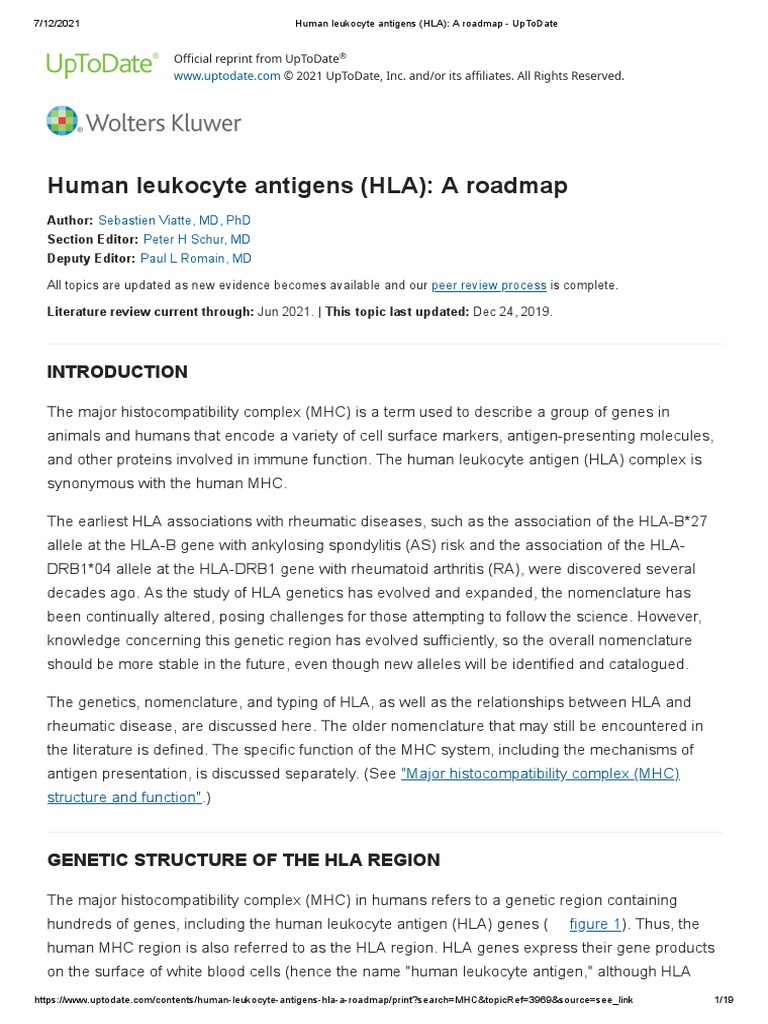 Human Leukocyte Antigens (HLA) A Roadmap UpToDate PDF Human