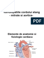 Curs 15 Valvulopatii