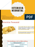 Ictericia Neonatal