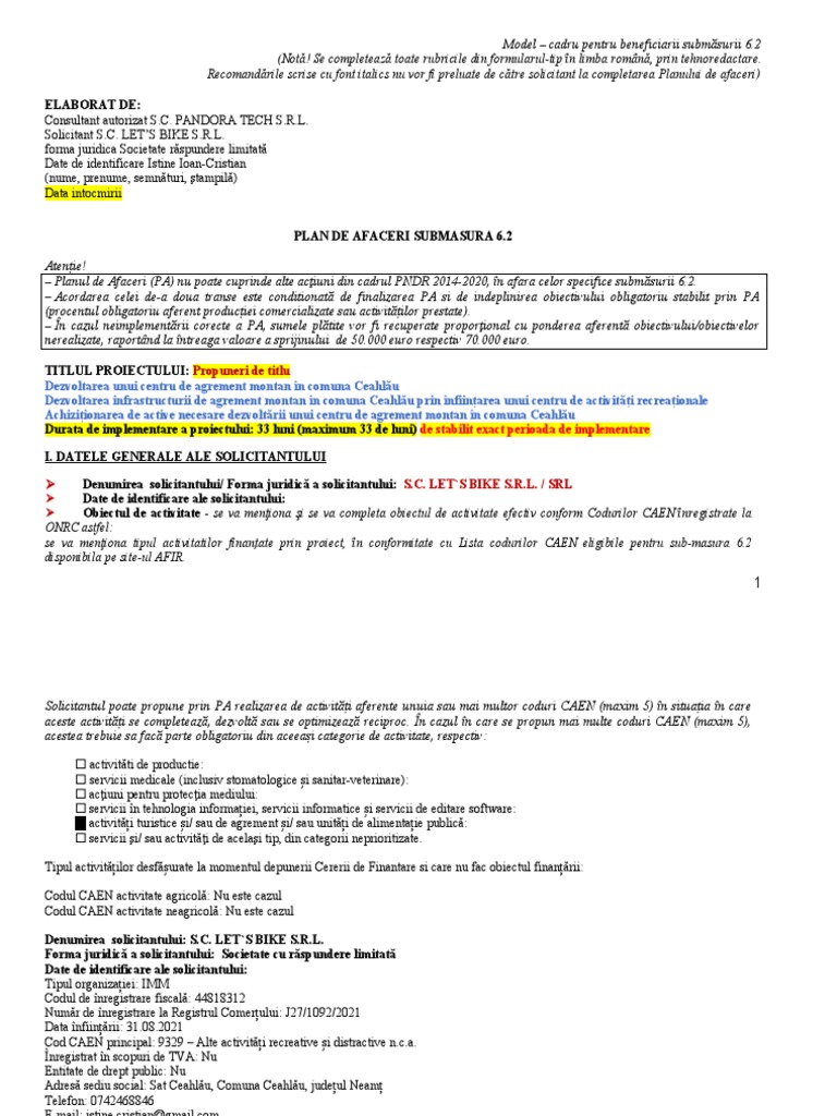 Plan - de - Afaceri - SM - 6.2 - Iulia Trinca | PDF